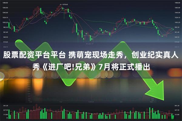 股票配资平台平台 携萌宠现场走秀，创业纪实真人秀《进厂吧!兄弟》7月将正式播出