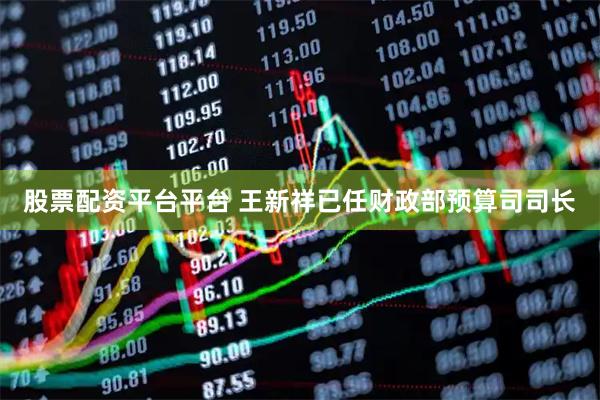 股票配资平台平台 王新祥已任财政部预算司司长